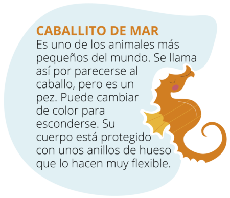 mundo_marino_caballito-450x387