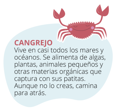 mundo_marino_cangrejo-450x426
