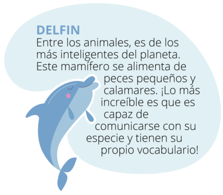 mundo_marino_delfin-450x395