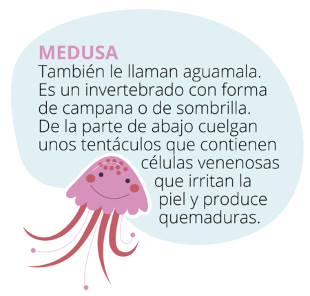 mundo_marino_medusa-450x429