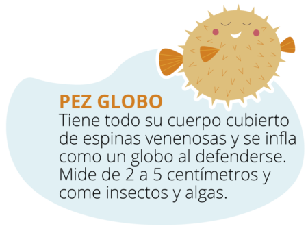 mundo_marino_pezglobo-450x340