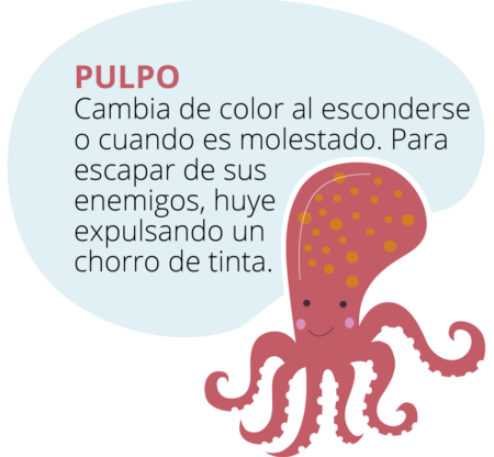 mundo_marino_pulpo-450x434