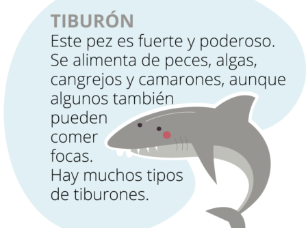 mundo_marino_tiburon-450x416