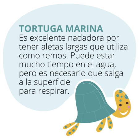 mundo_marino_tortuga-450x454